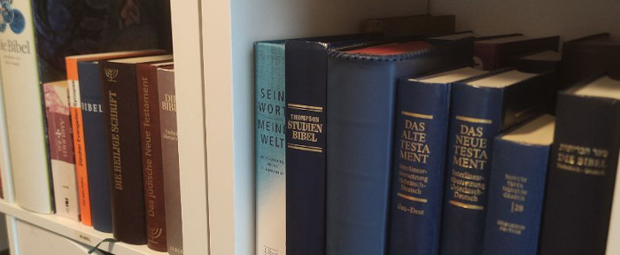 Illustration eines Bücherregals voller Bibeln